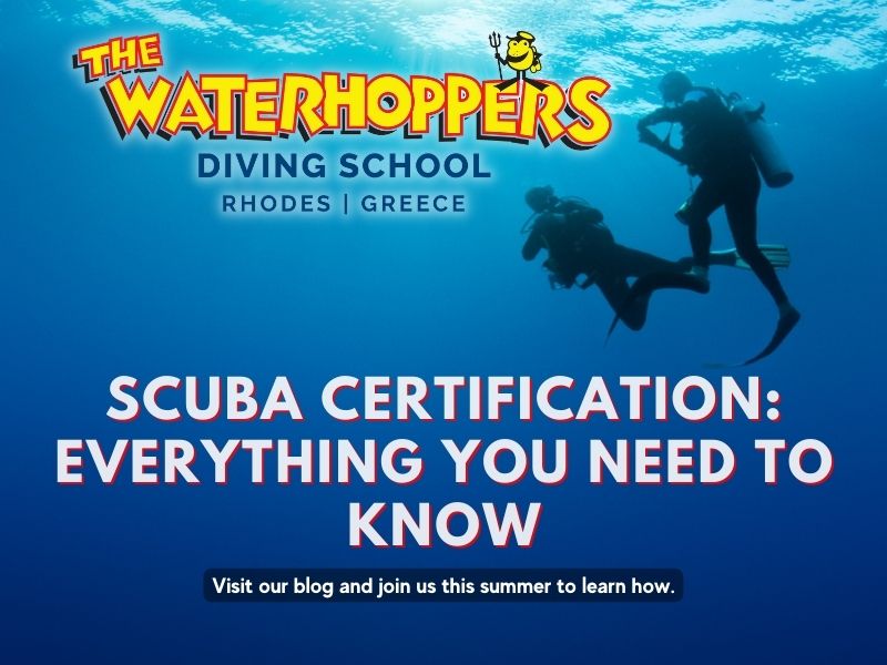 Scuba Certification: Everything You Need to Know